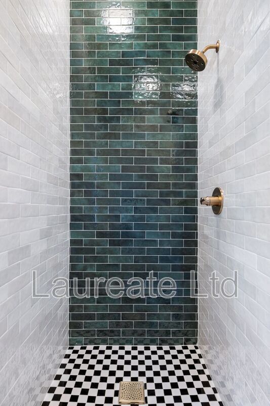 Historic Mansion living right next to Cheesman Park!! property image