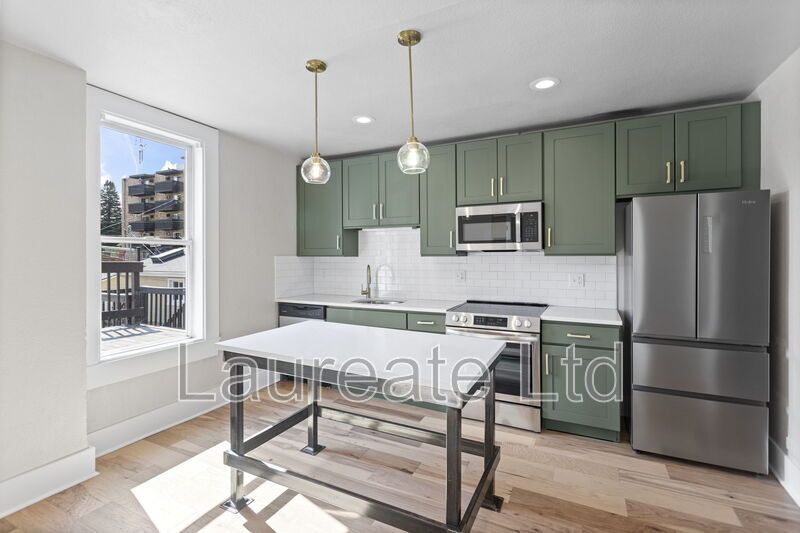 Meticulously renovated Historic Top Floor  Apartment in North Wash Park!! property image