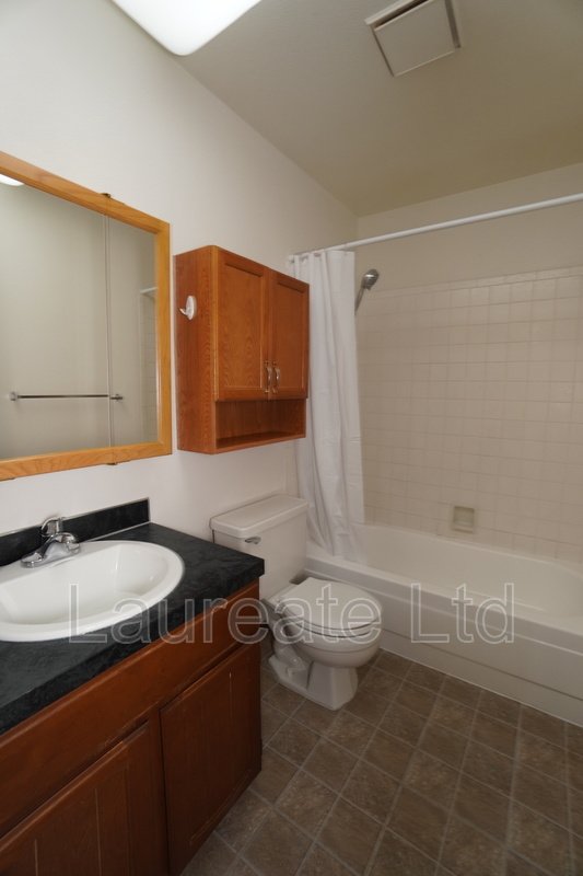 Newly Updated Tri-Level Duplex in Arvada!!! property image