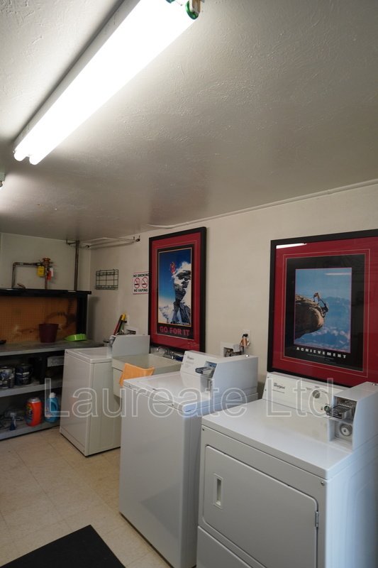 Newly renovated 2 bedroom minutes to Olde Town Arvada!!! property image