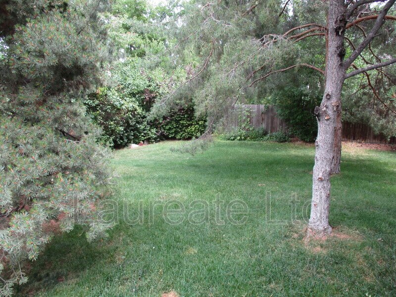 BEAUTIFUL 4 BEDROOM HOME IN CENTENNIAL property image