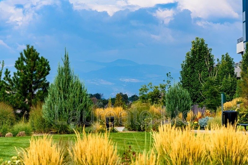 Stunning and Spacious 3bd Townhome in Midtown Denver!! property image