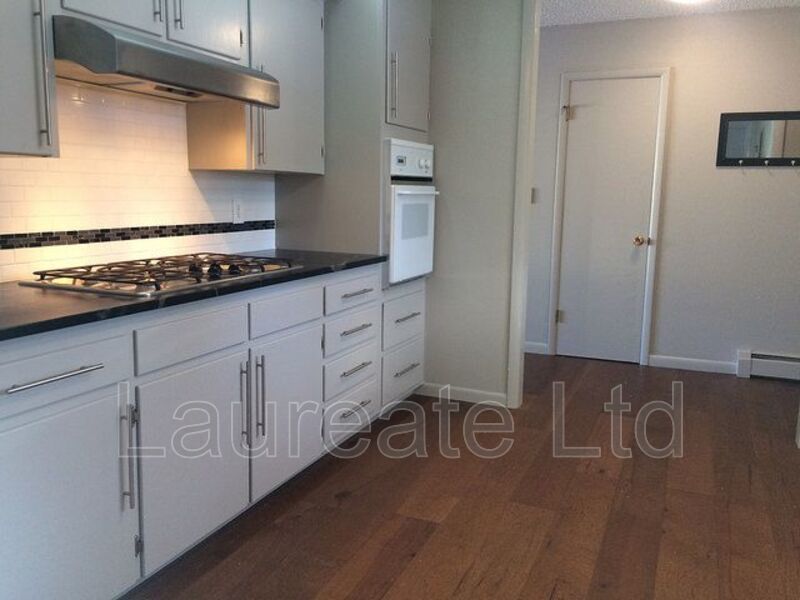 Sprawling 3 Bedroom 2 bathroom ranch in Applewood! property image