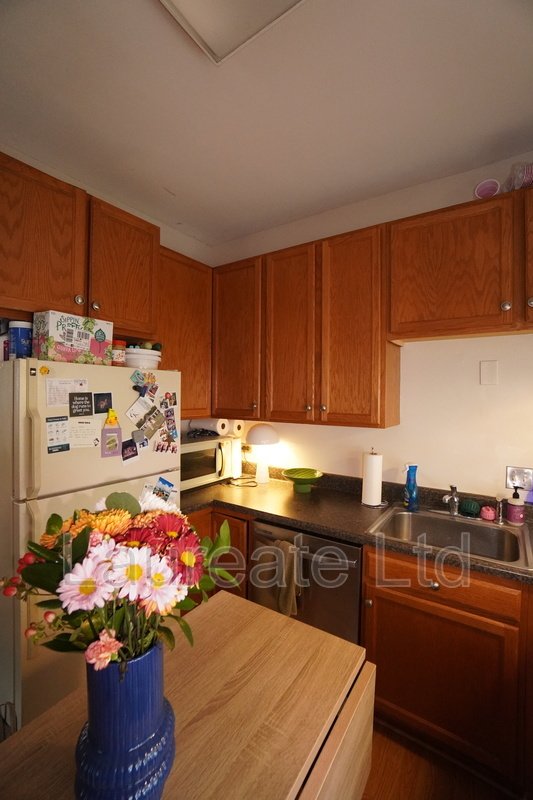 Historic Mansion Living in the Heart of Capitol Hill!!! property image