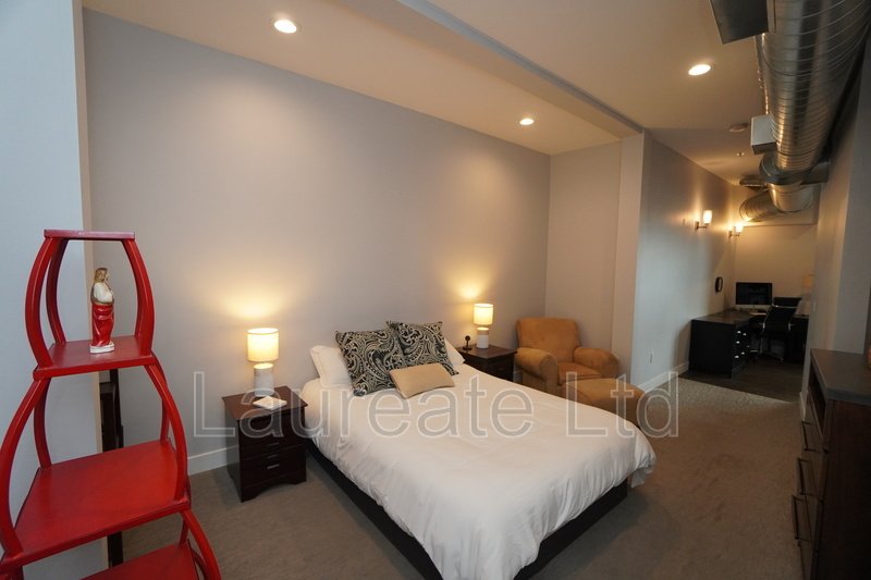 Fully Furnished 1 Bedroom Flat in the Heart of RiNo - Must See!! property image