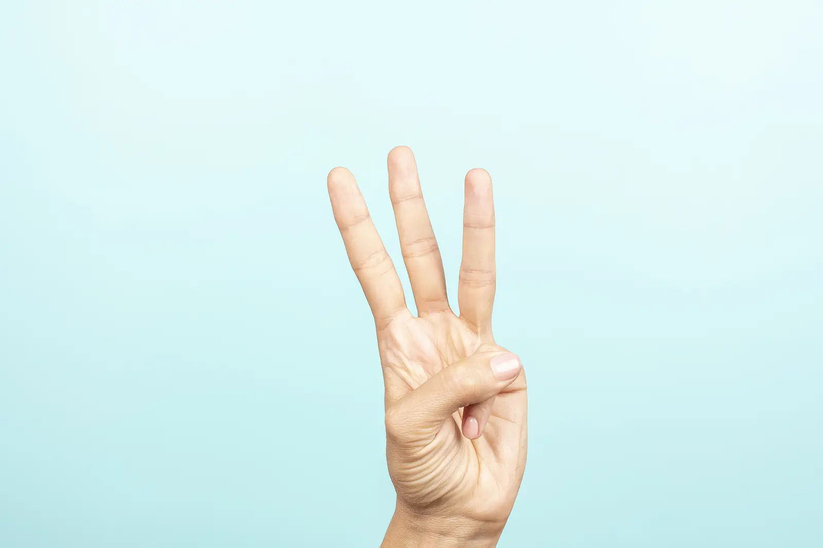 What Is the Three-Color Rule in Interior Design for Rental Properties?